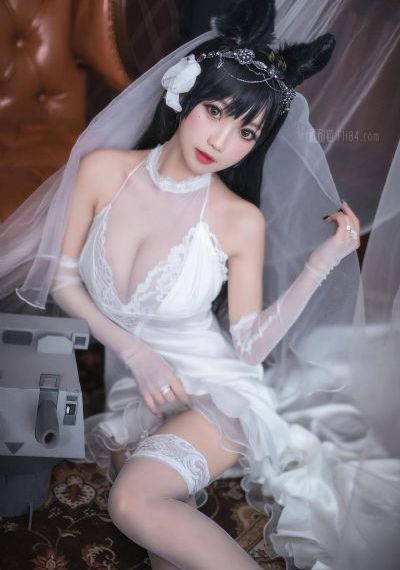 苍狼传说_BD国语在线播放观看