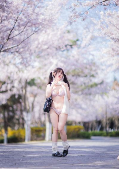 律政强人 电视剧_蓝光全集免费播放