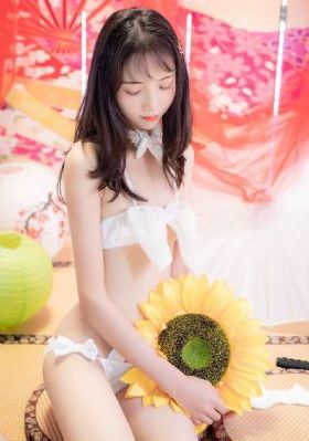 电视剧天下第一_HD动漫免费观看